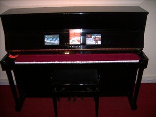 pianos - 223.jpg